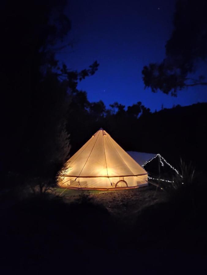 Glamping At Zeehan Bush Camp Exteriör bild