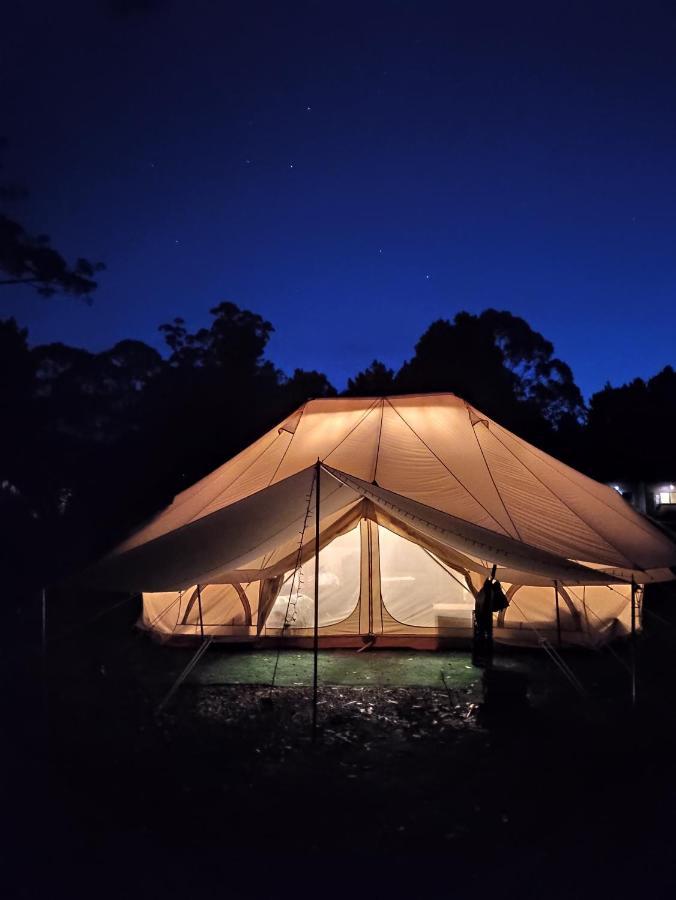 Glamping At Zeehan Bush Camp Exteriör bild