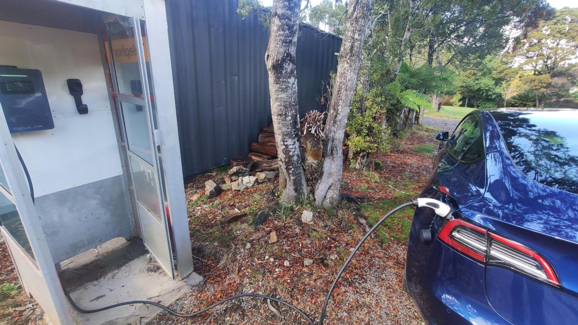 Glamping At Zeehan Bush Camp Exteriör bild