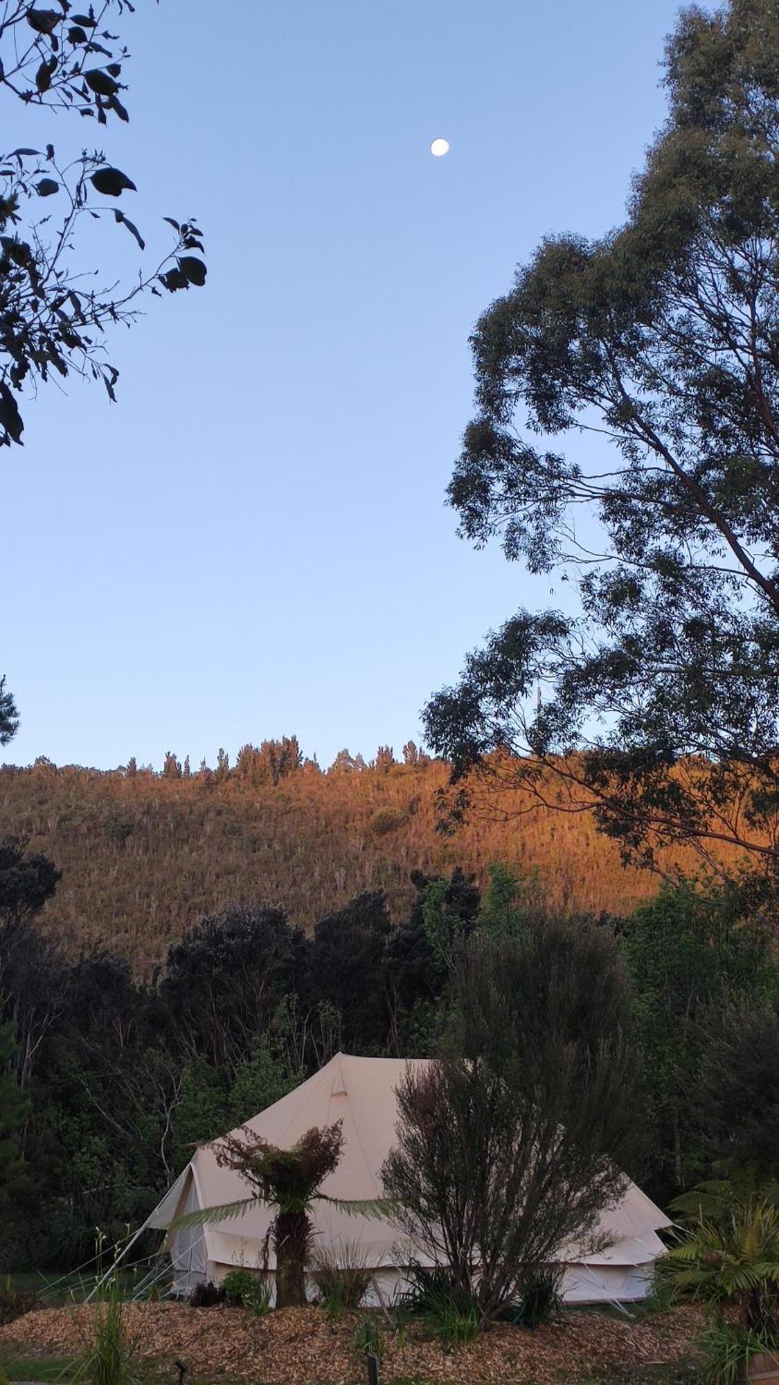 Glamping At Zeehan Bush Camp Exteriör bild