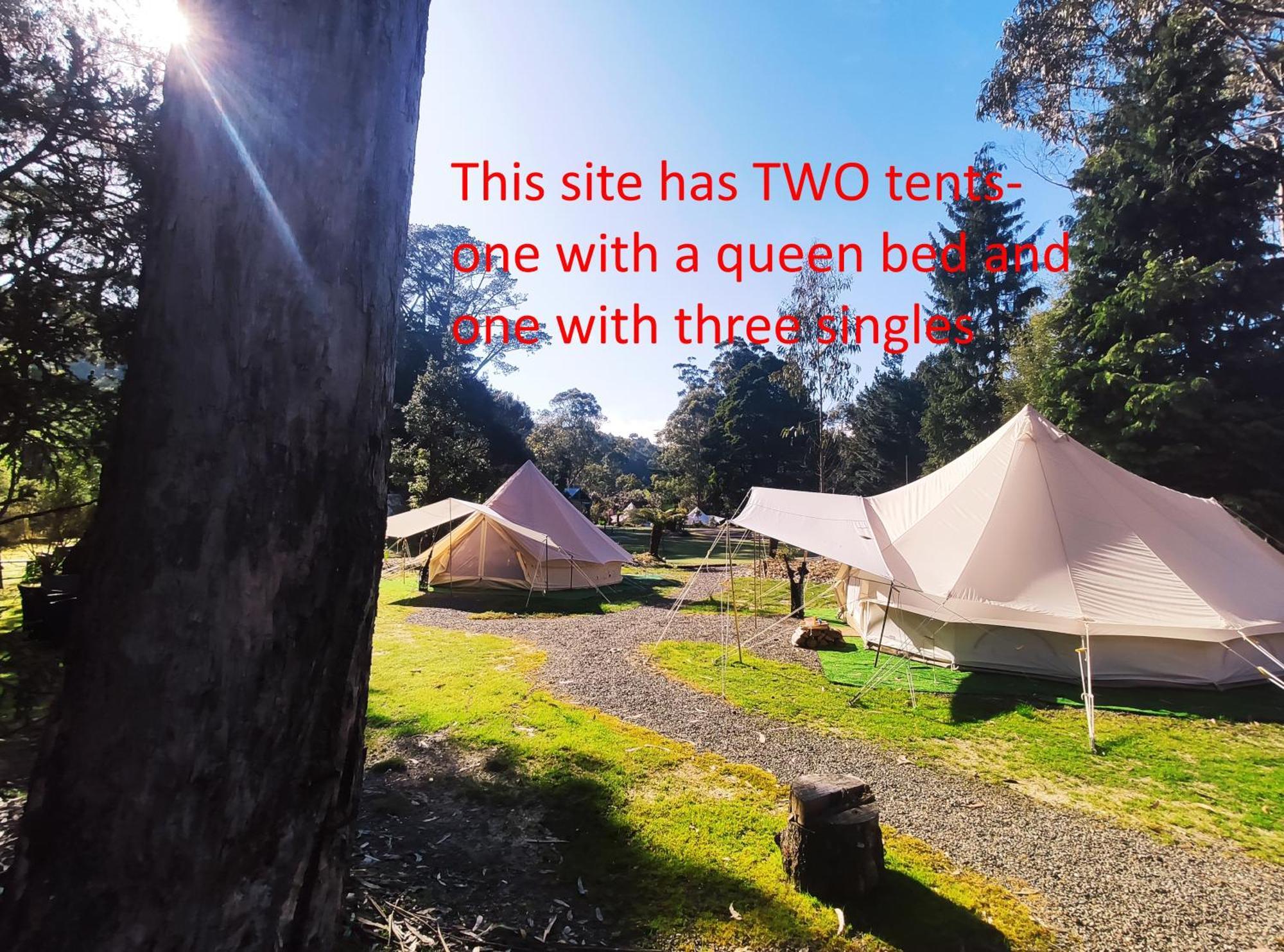 Glamping At Zeehan Bush Camp Exteriör bild