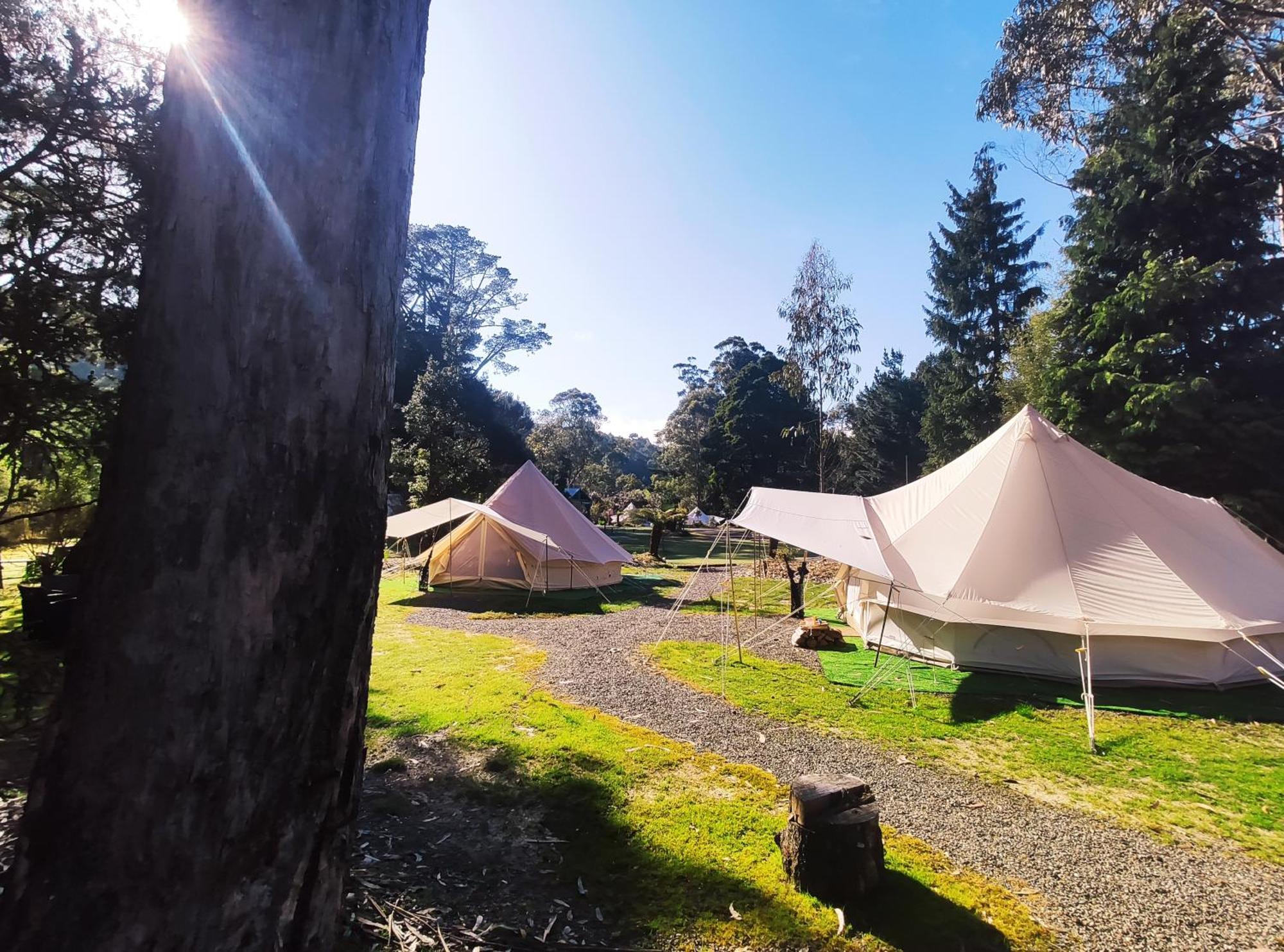 Glamping At Zeehan Bush Camp Exteriör bild