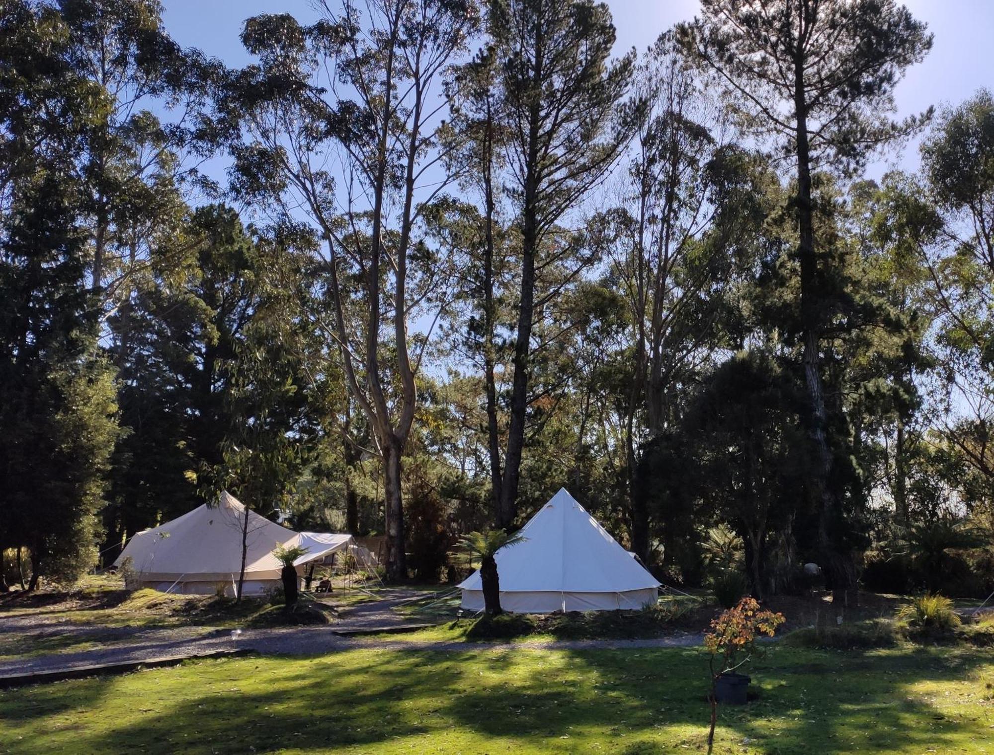 Glamping At Zeehan Bush Camp Exteriör bild