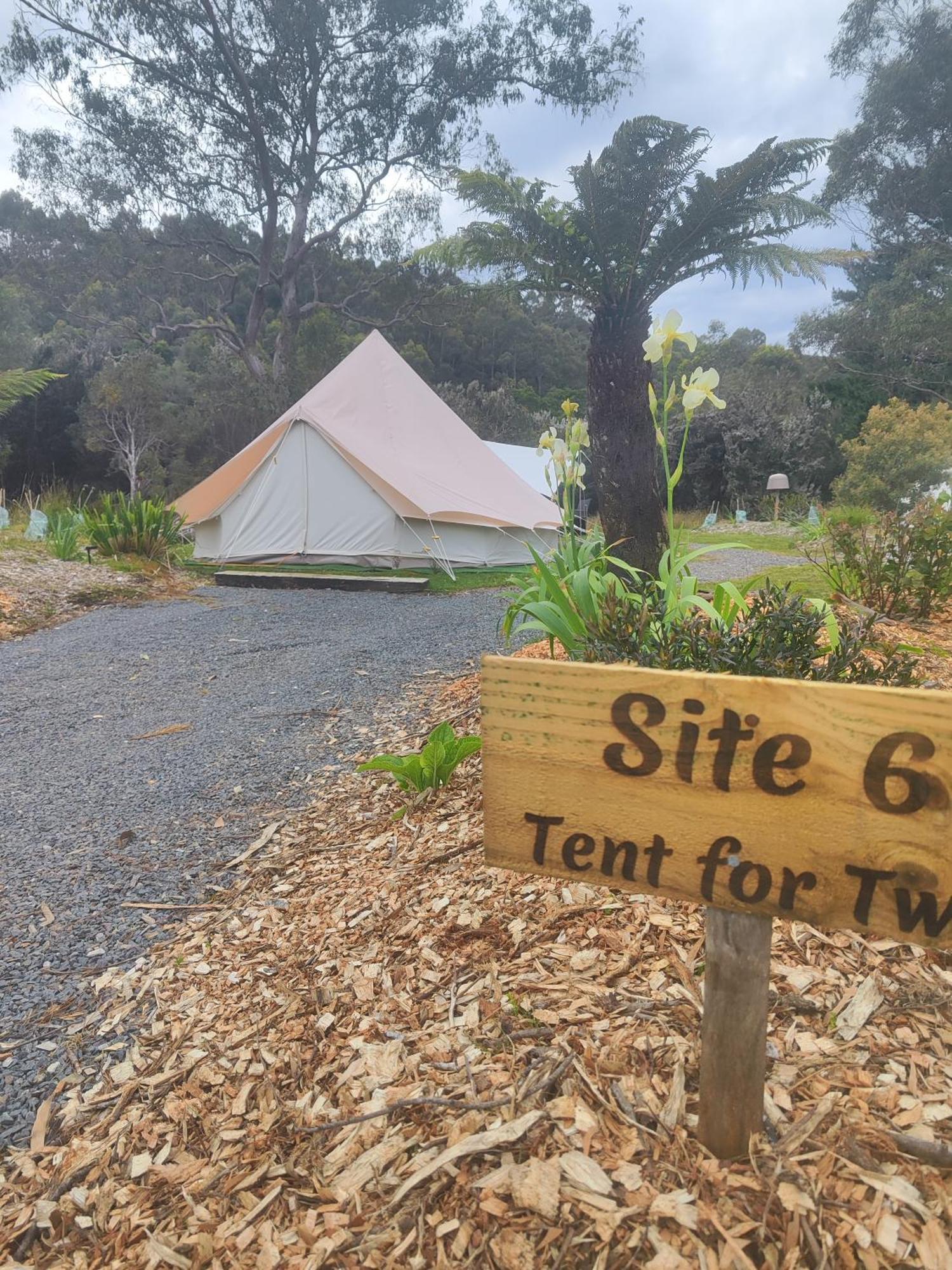 Glamping At Zeehan Bush Camp Exteriör bild