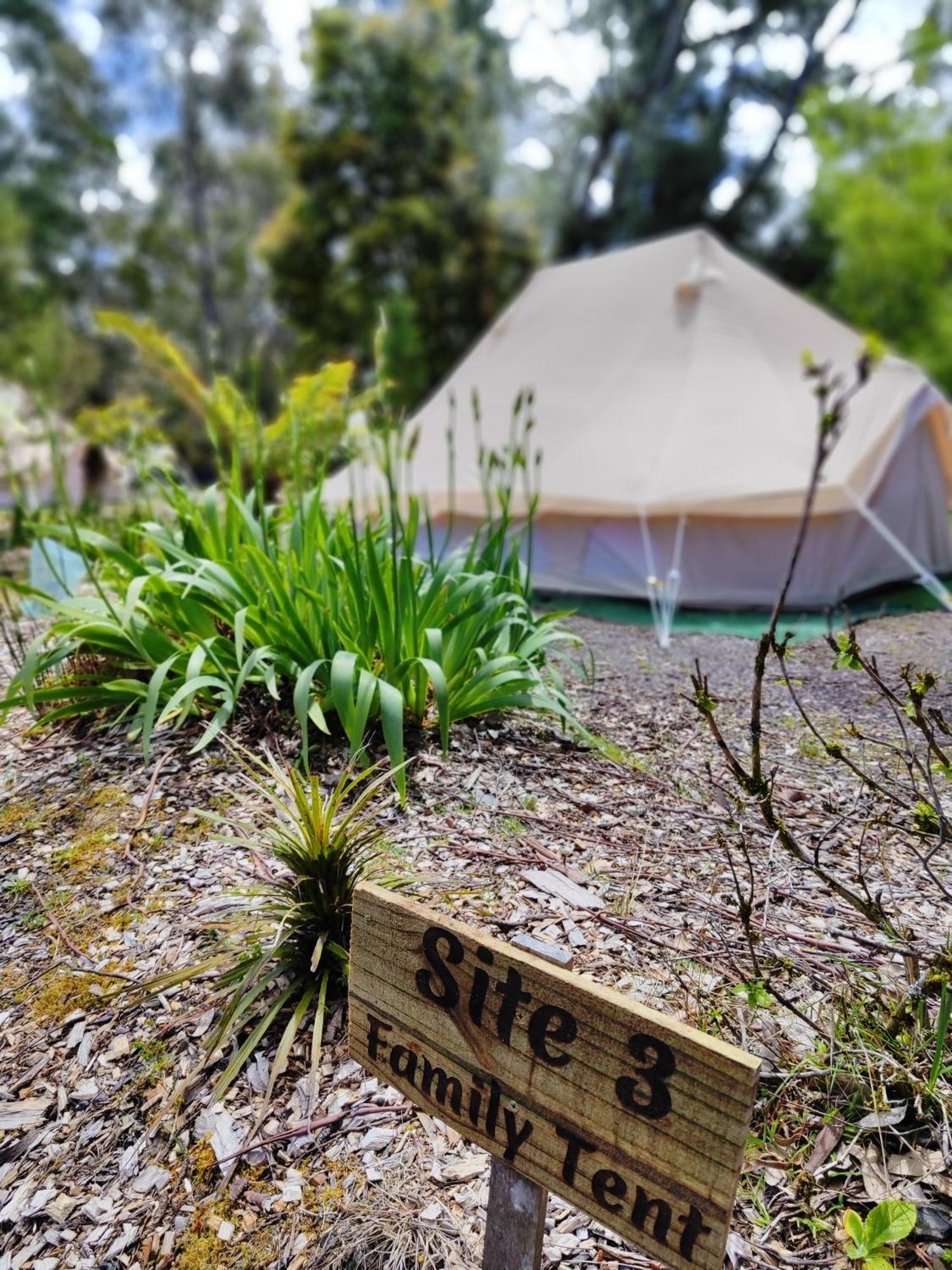 Glamping At Zeehan Bush Camp Exteriör bild