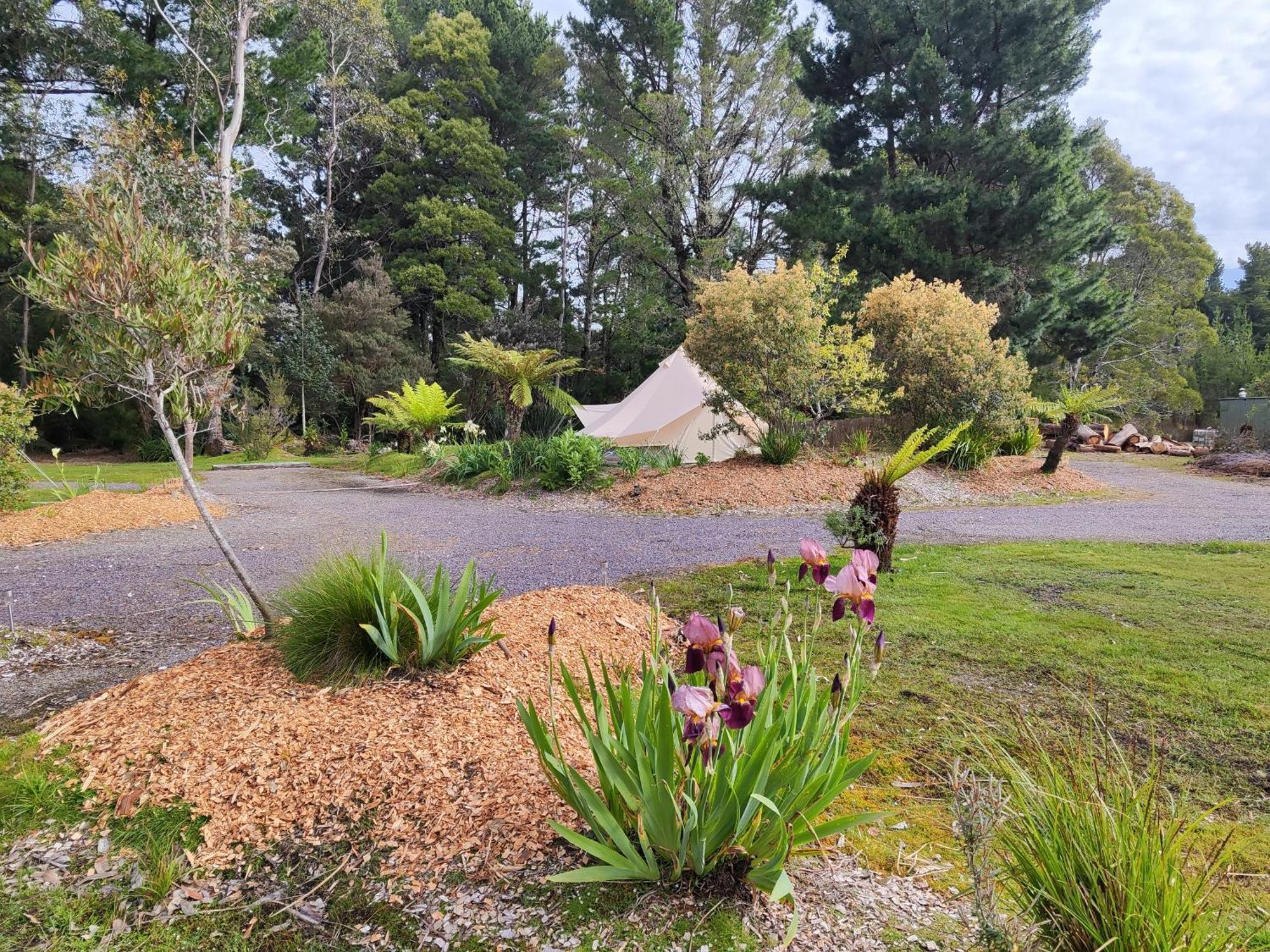 Glamping At Zeehan Bush Camp Exteriör bild