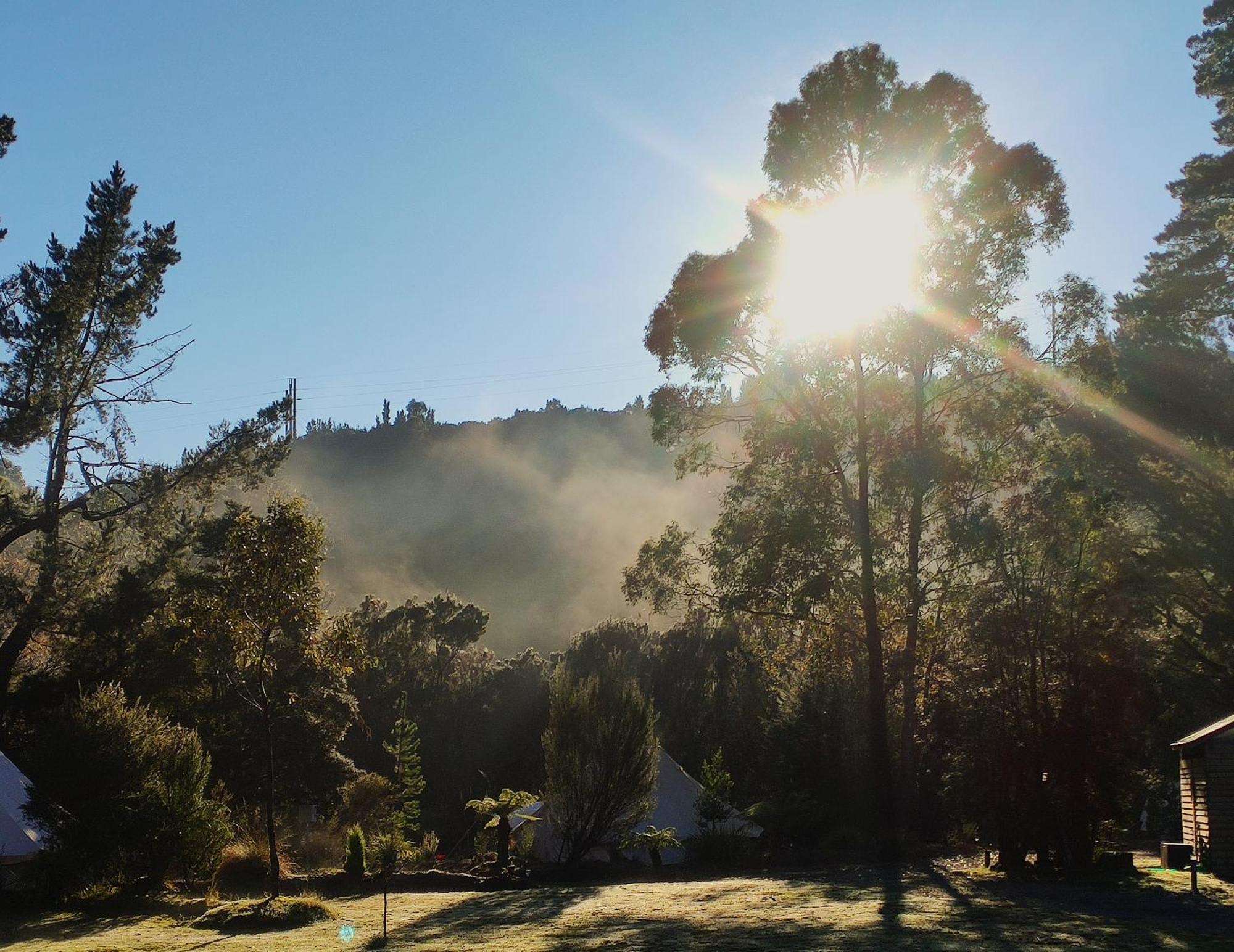 Glamping At Zeehan Bush Camp Hotell Exteriör bild