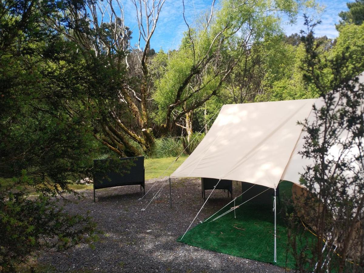 Glamping At Zeehan Bush Camp Exteriör bild