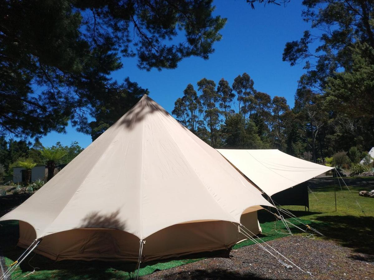 Glamping At Zeehan Bush Camp Exteriör bild