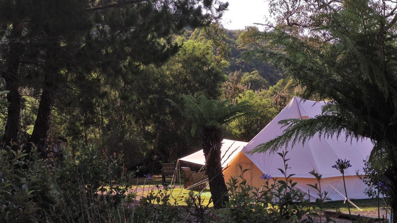 Glamping At Zeehan Bush Camp Exteriör bild