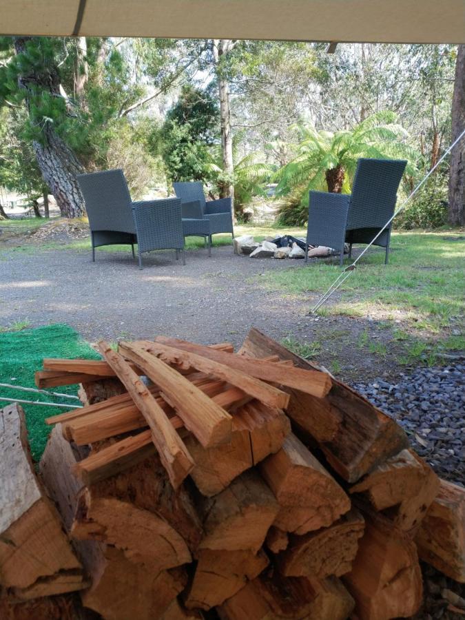 Glamping At Zeehan Bush Camp Exteriör bild